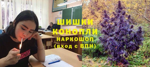 МДПВ Богородск