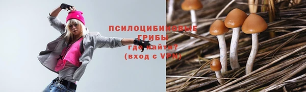 PSILOCYBIN Богородицк