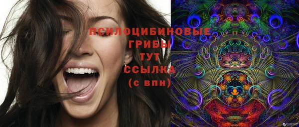 экстази Богданович