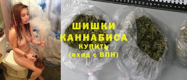 МДПВ Богородск