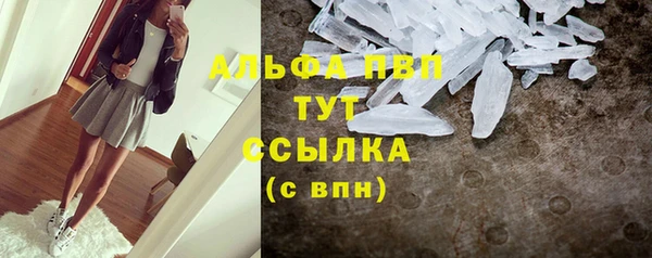 МДПВ Богородск