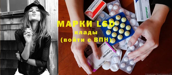 PSILOCYBIN Богородицк