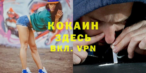 PSILOCYBIN Богородицк