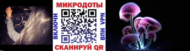 Галлюциногенные грибы Cubensis  Купить закладки  Николаевск-на-Амуре 